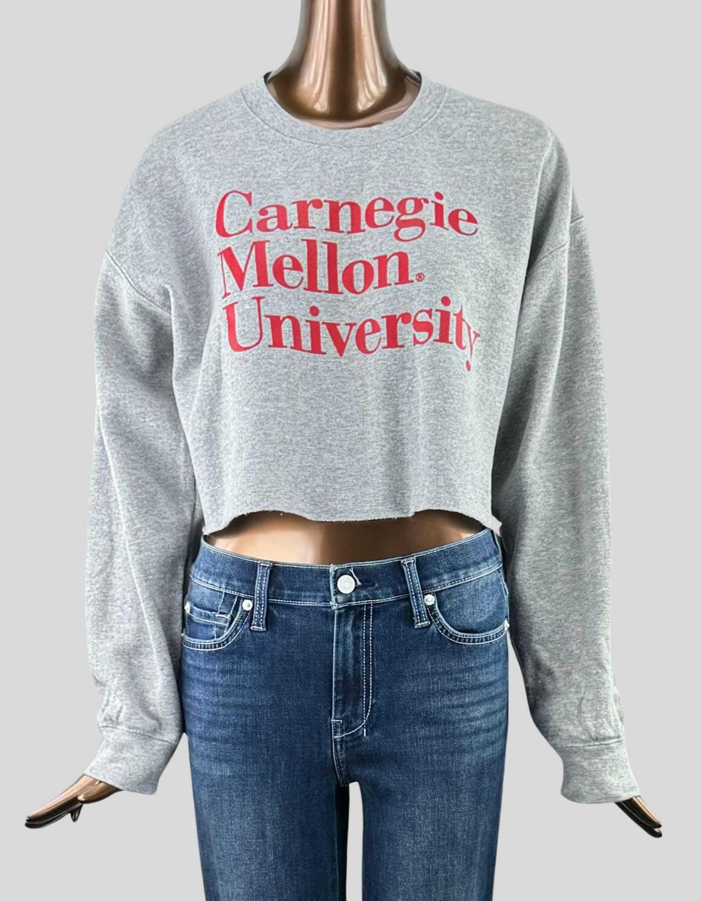 GILDAN Carnegie Mellon University Sweatshirt